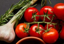 8 plantas para horta caseira fáceis de cuidar