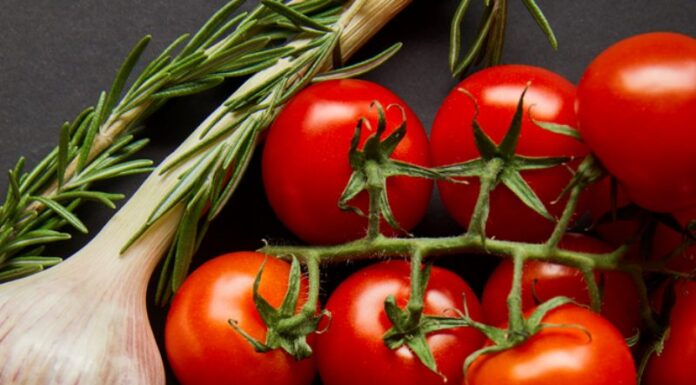 8 plantas para horta caseira fáceis de cuidar