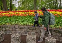 As tulipas do Keukenhof 2026 – Como ter a melhor experiência