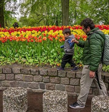 As tulipas do Keukenhof 2026 – Como ter a melhor experiência