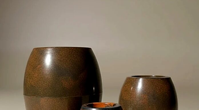 Como combinar vasos: cor, formato e tipo de planta sem errar